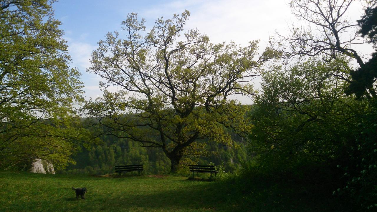Berghaus Knopfmacher Fridingen an der Donau المظهر الخارجي الصورة