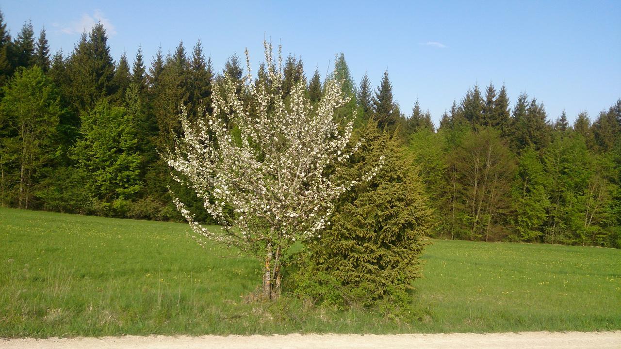 Berghaus Knopfmacher Fridingen an der Donau المظهر الخارجي الصورة